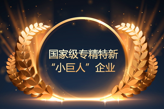 喜报 | 304AM永利通过国家级专精特新“小巨人”企业复审 